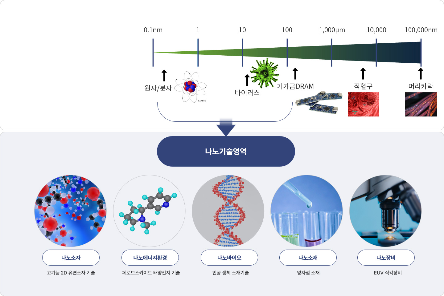 나노기술영역